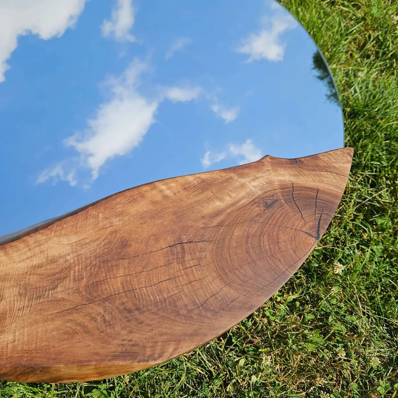 Огледало - европейски орех