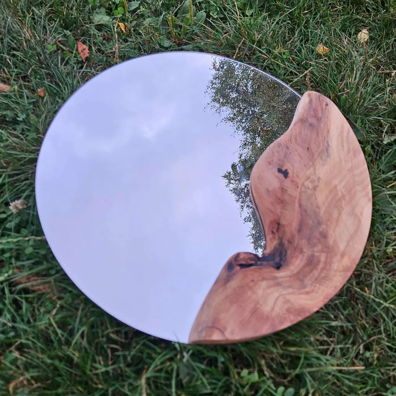 Огледало - европейски орех